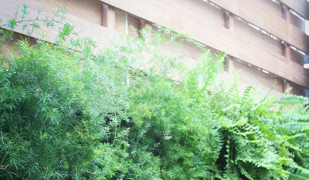 Brick Hostel ปอร์โตอัลเลเกร ภายนอก รูปภาพ